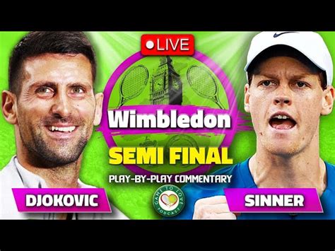 djokovic vs sinner highlights